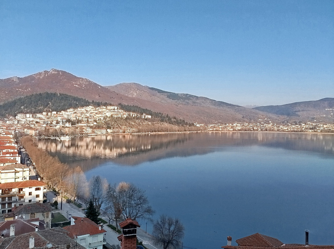 菲洛克尼雅宾馆主图