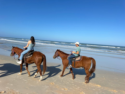 Equestrian Adventures of Florida-代托纳比奇必去景点