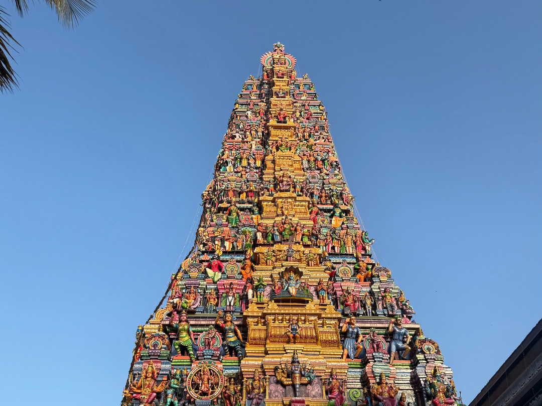 Travel Buddy-Kirindiwela必去景点