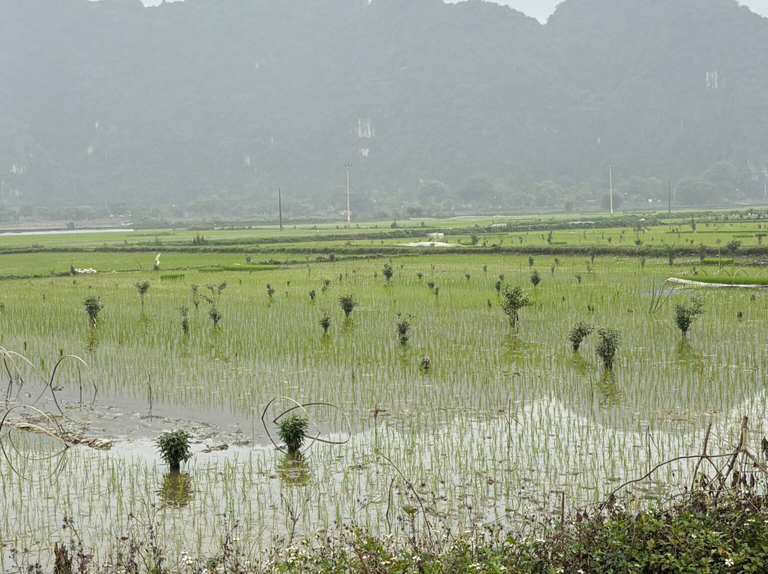 Asia Hero Travel-河内必去景点