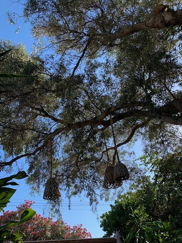 La Posada de Lola - Adults Only主图