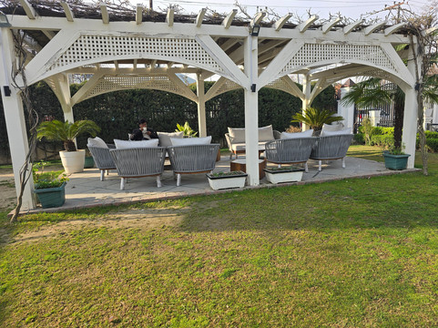 柠檬树斯里纳格酒店主图