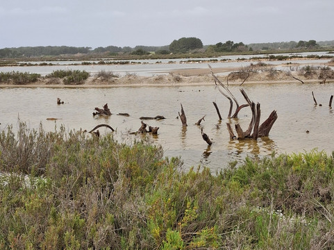 Salinas d'Es Trenc-Campos必去景点