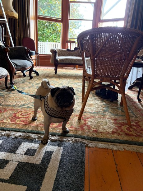 布拉马尔议会大厦住所加早餐旅馆-官方