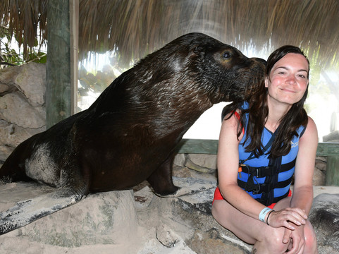 Dolphin Explorer-蓬塔卡纳必去景点