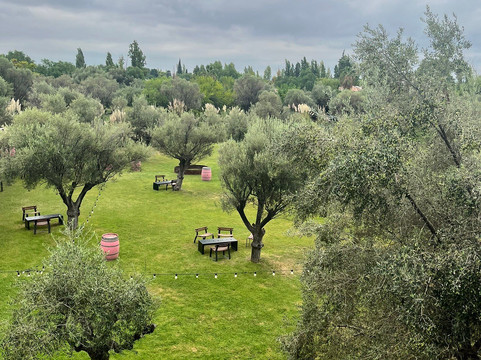Bodega Trapiche-门多萨必去景点