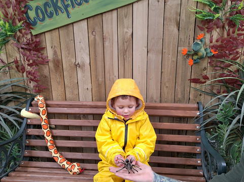 Cockfields Farm Park-Ashton-under-Lyne必去景点