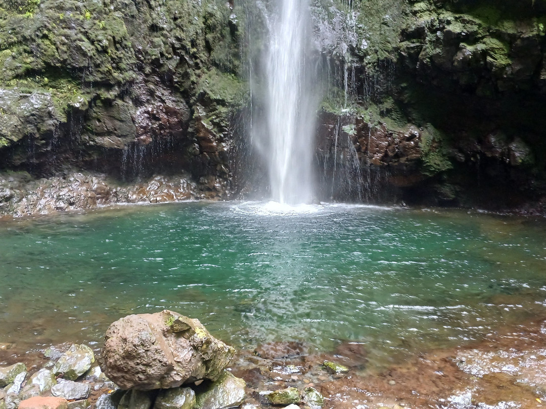 Madeira Free Spirit walks-沙尔必去景点