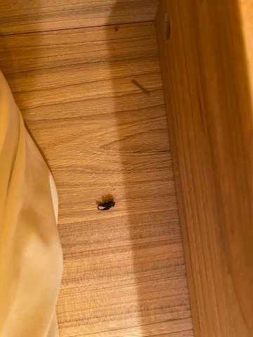 宜必思快捷法罗皮利亚酒店-客卧