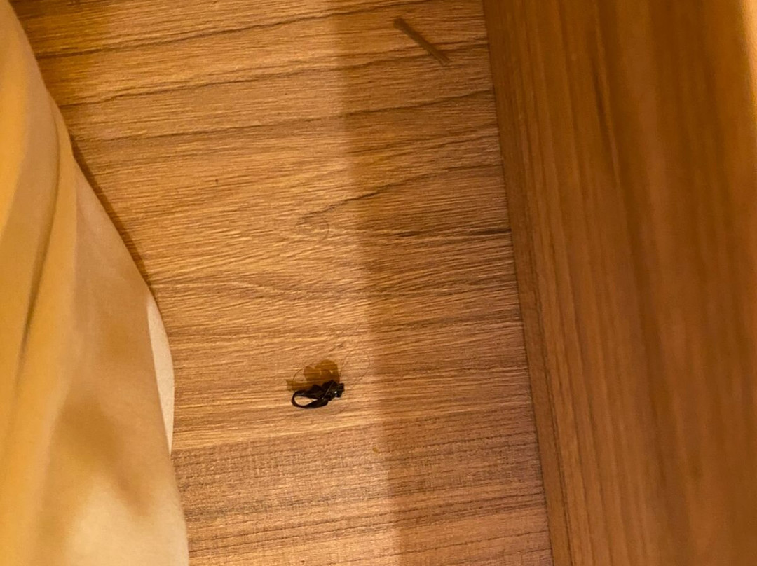 宜必思快捷法罗皮利亚酒店主图