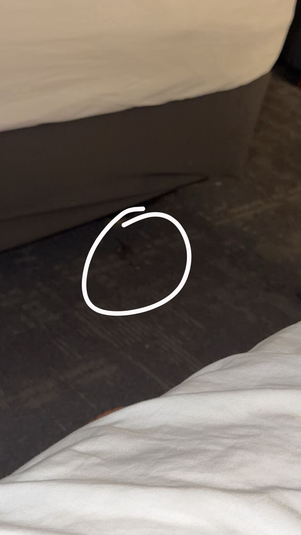 度假区缅因森林旅馆-官方