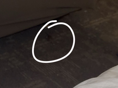 度假区缅因森林旅馆主图