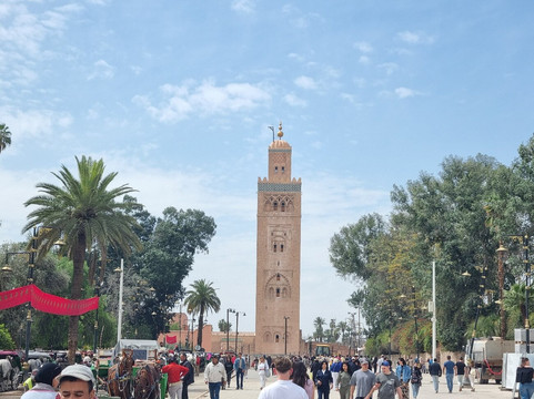 Yalla - Let's Go Travel-马拉喀什必去景点