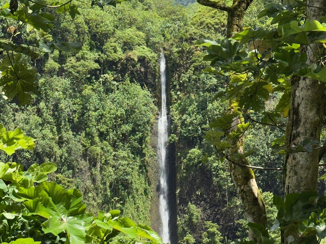 Ciao Tahiti Excursions 4x4 - Day Tours-普纳奥亚必去景点