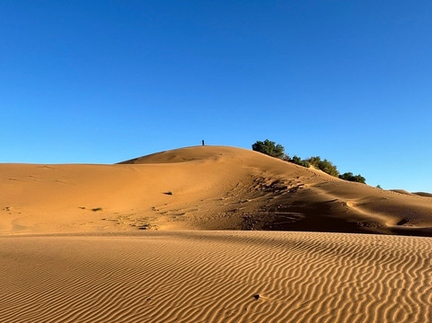 Authentic Morocco-马拉喀什必去景点
