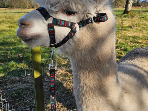 Wee Eden-West Calder必去景点