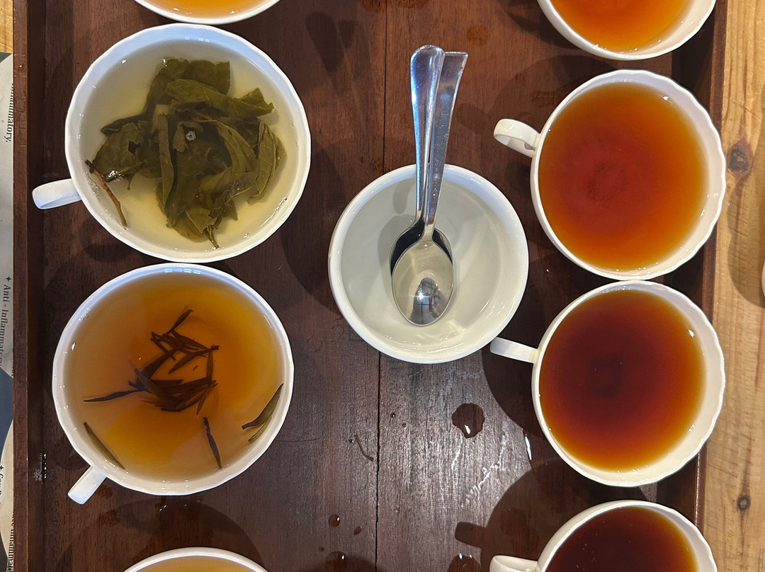 Pilimathalawa Tea Factory-Pilimathalawa必去景点