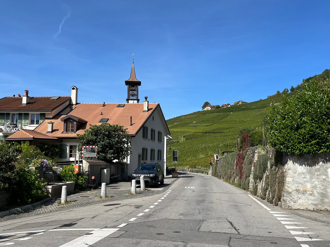 拉沃葡萄园梯田-蒙特勒必去景点