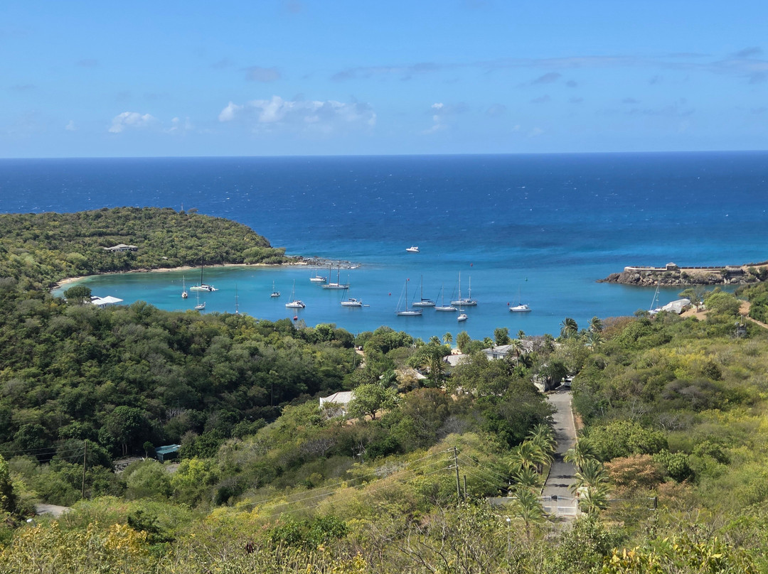 Tropical Adventures - Island Safari-圣 约翰必去景点