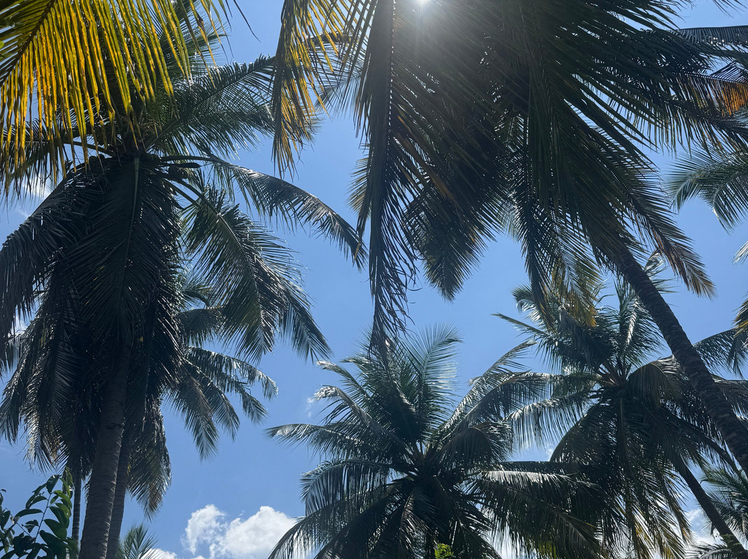 Wild Lake Side Holiday Resort主图