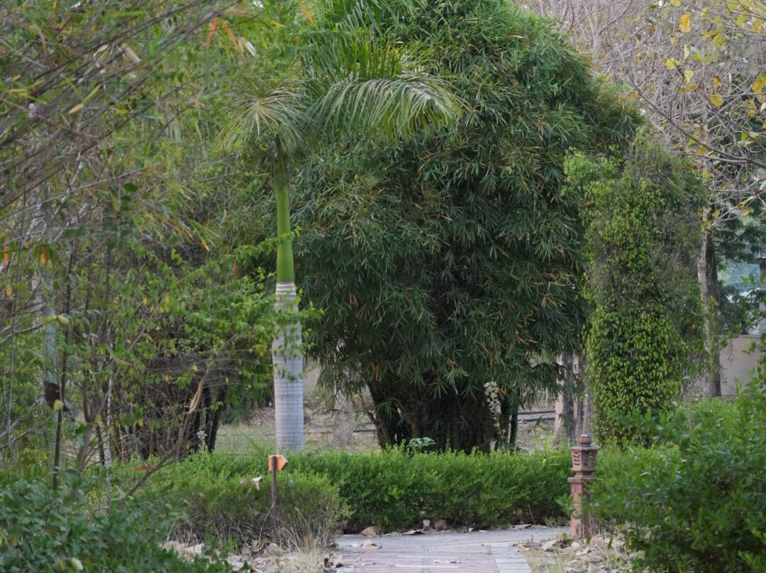 索拉西亚酒店度假村主图