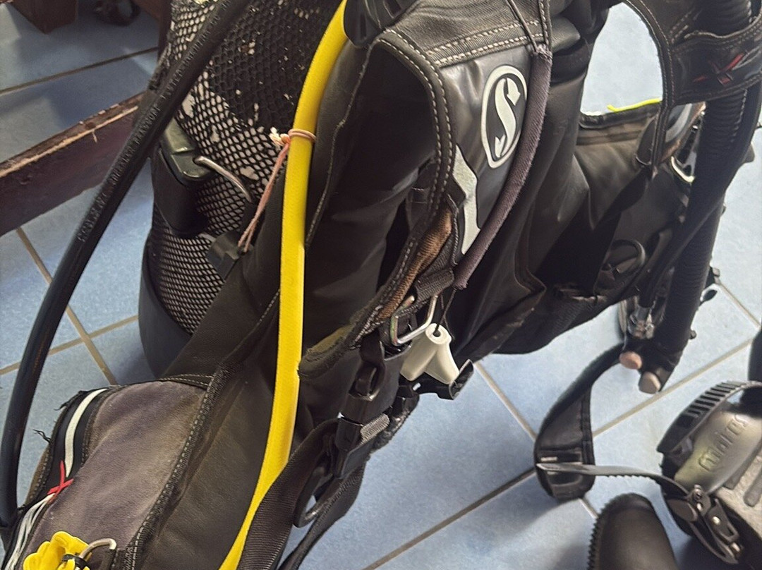 Manta Diving Lanzarote-卡门港必去景点