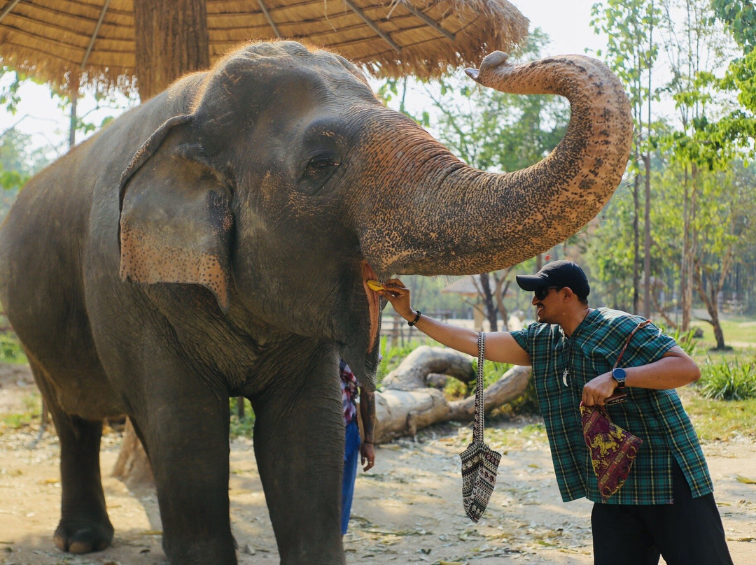 Maerim Elephant Sanctuary-夜林必去景点