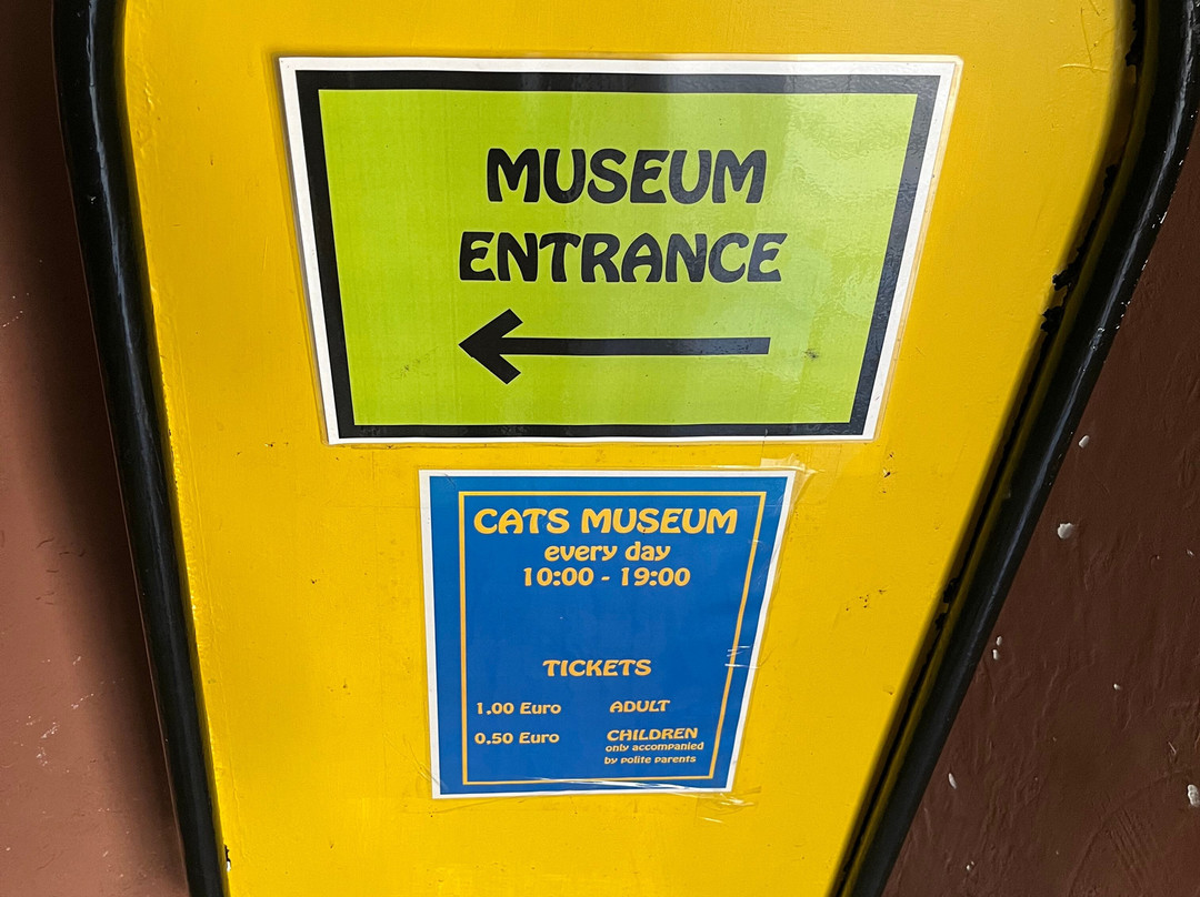 Cats Museum-科托尔必去景点