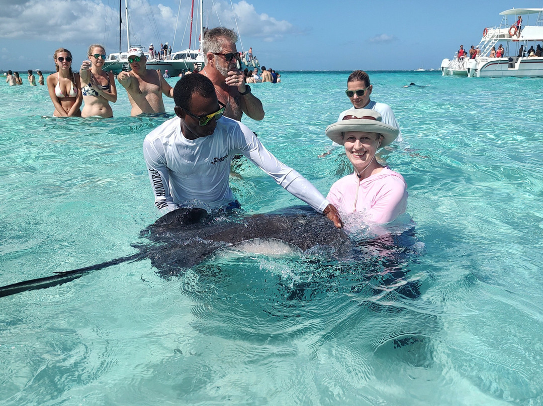 Captain Marvin's Watersports Ltd.-普罗维登西亚莱斯必去景点