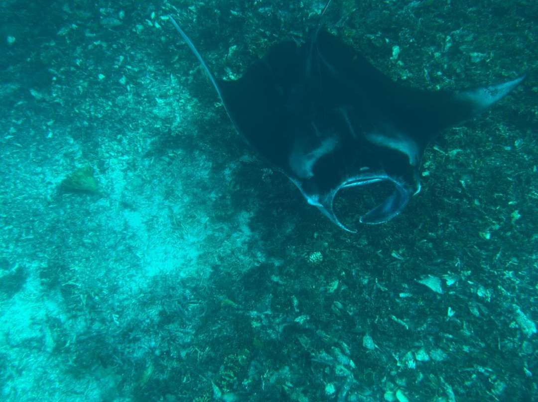 Captain Komodo-Labuan Bajo必去景点