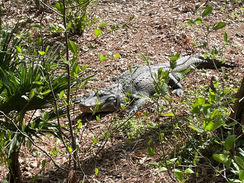 North Carolina Zoo-Asheboro必去景点
