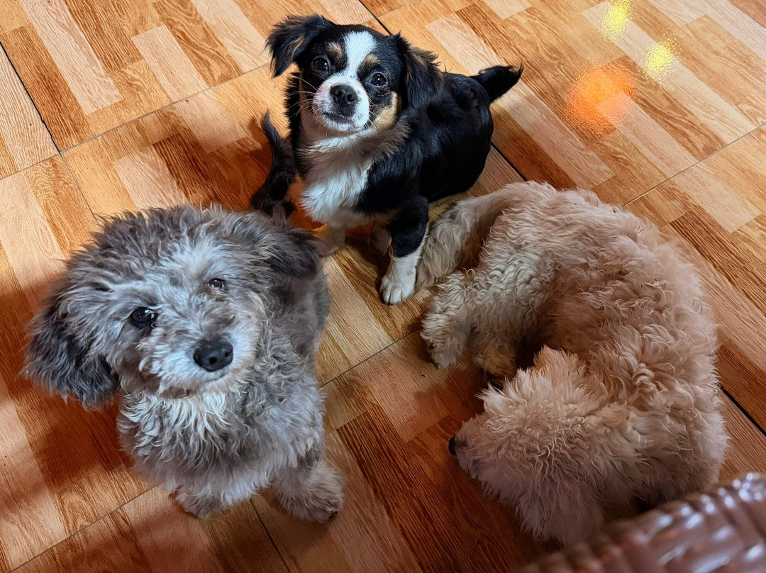 Pham Gia Homestay Ecogarden