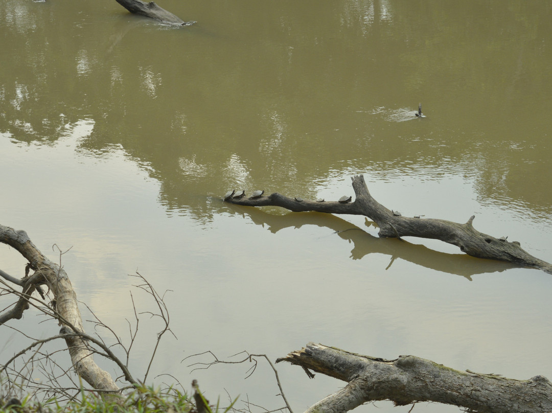 Kaziranga National Park-卡齐兰加国家公园必去景点