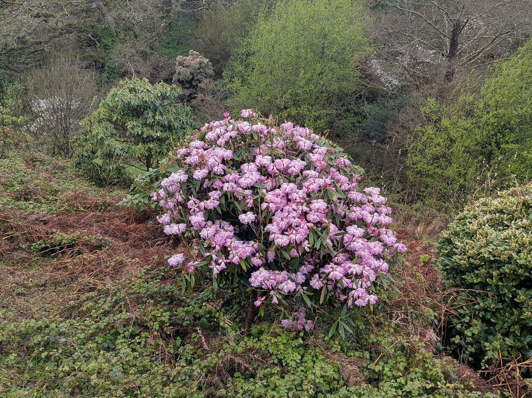 Fast Rabbit Farm Gardens-达特茅斯必去景点