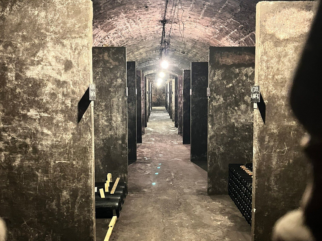 CVNE Vino-哈罗必去景点