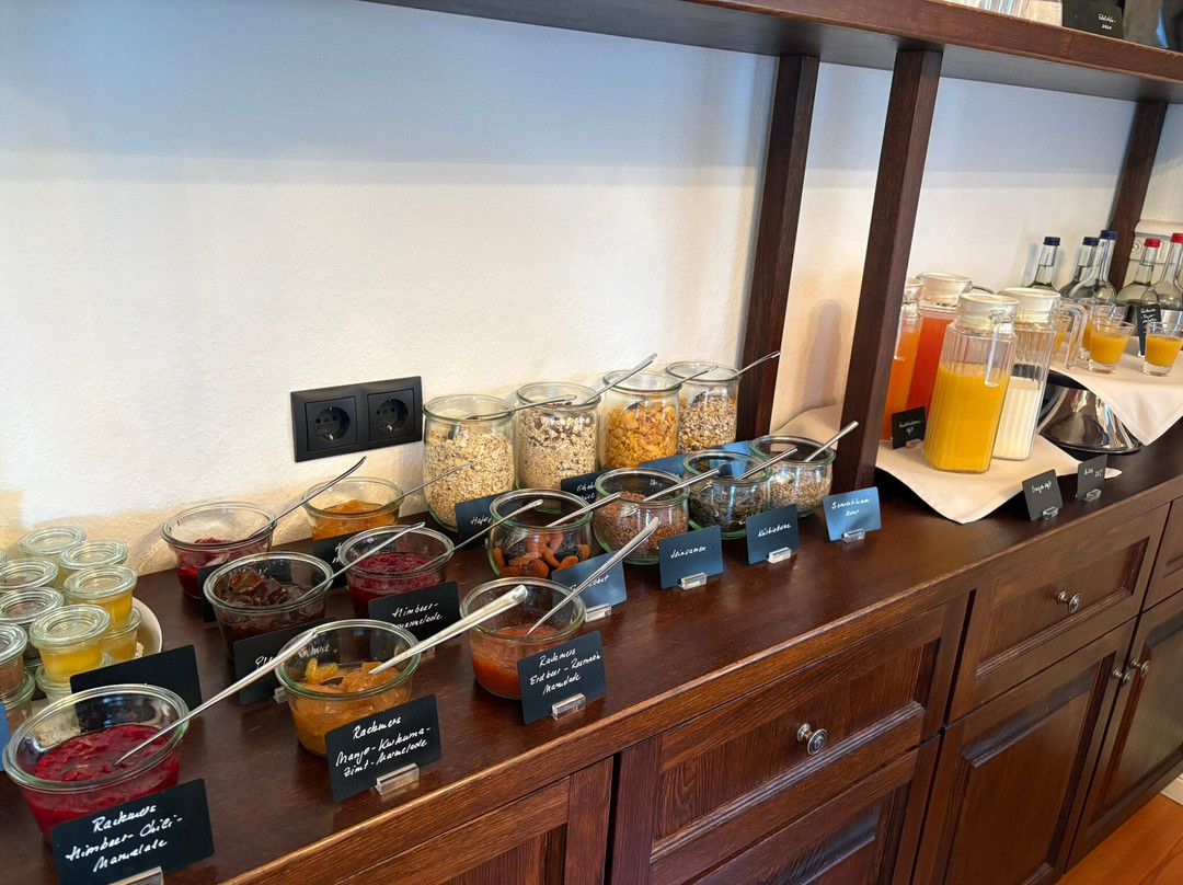 加尼莱克麦斯霍夫酒店主图