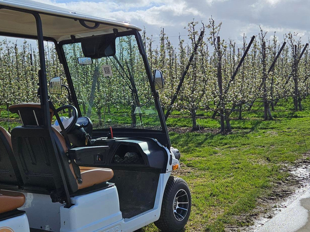 Wijnsafari in Haspengouw (Borgloon)-Borgloon必去景点