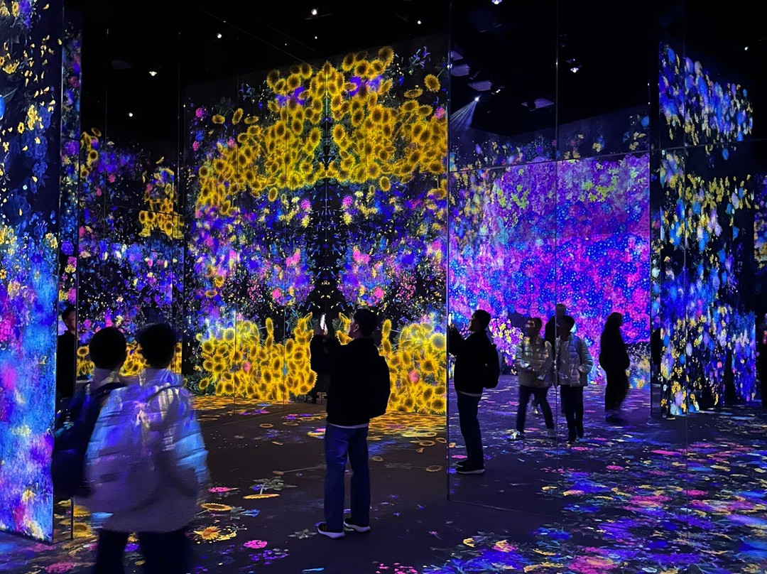 Teamlab Borderless Tokyo-港区必去景点