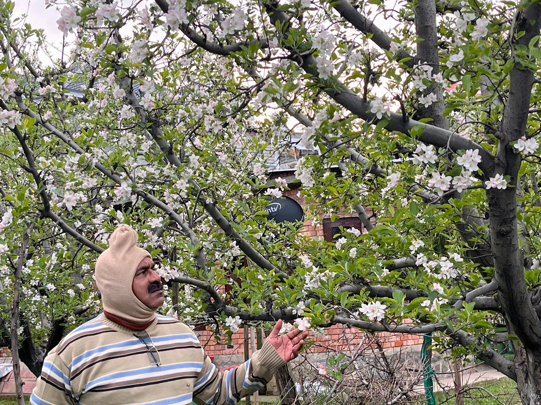 Dharika Tourism Private Limited-格德拉必去景点