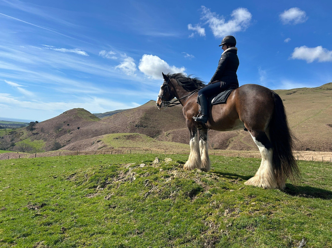 Cumbrian Heavy Horses-Millom必去景点