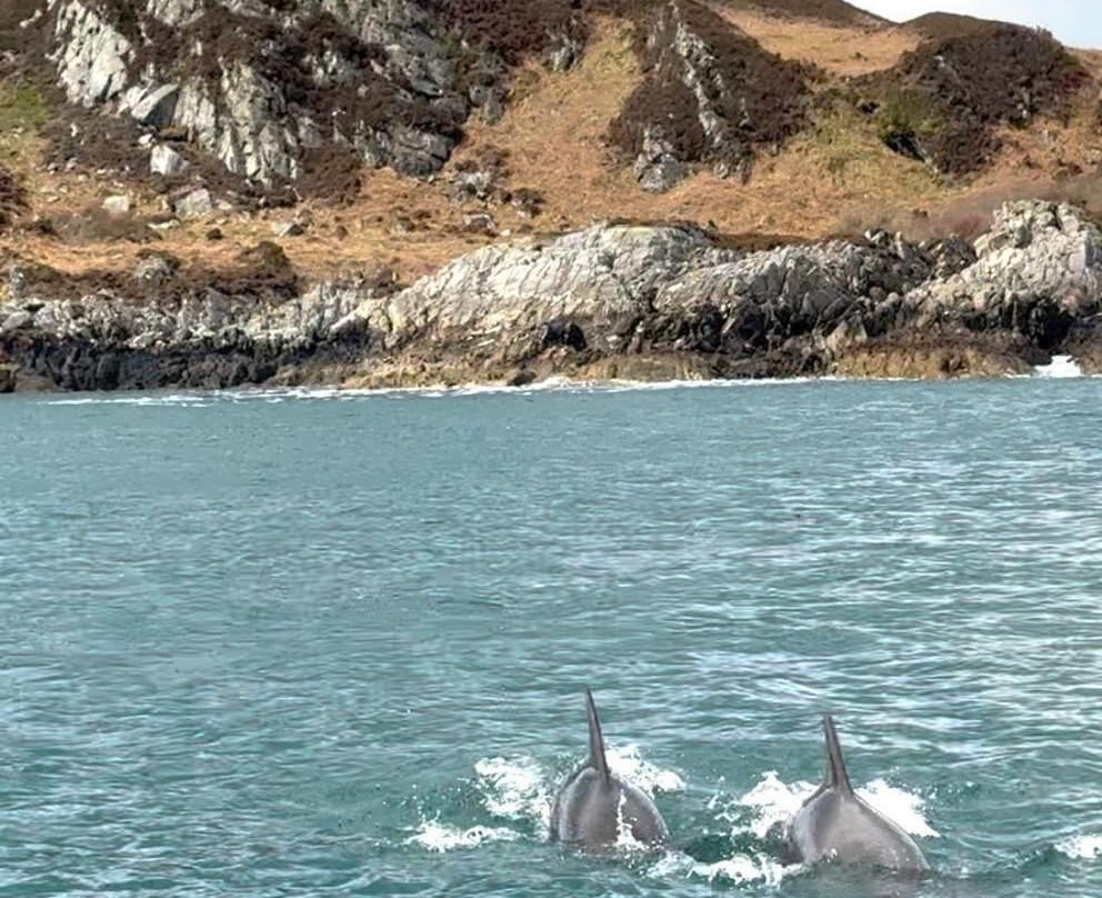 Seafari Adventures-Ellenabeich必去景点