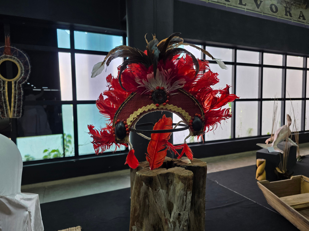 Cultural Centre of the Peoples of the Amazon-玛瑙斯必去景点