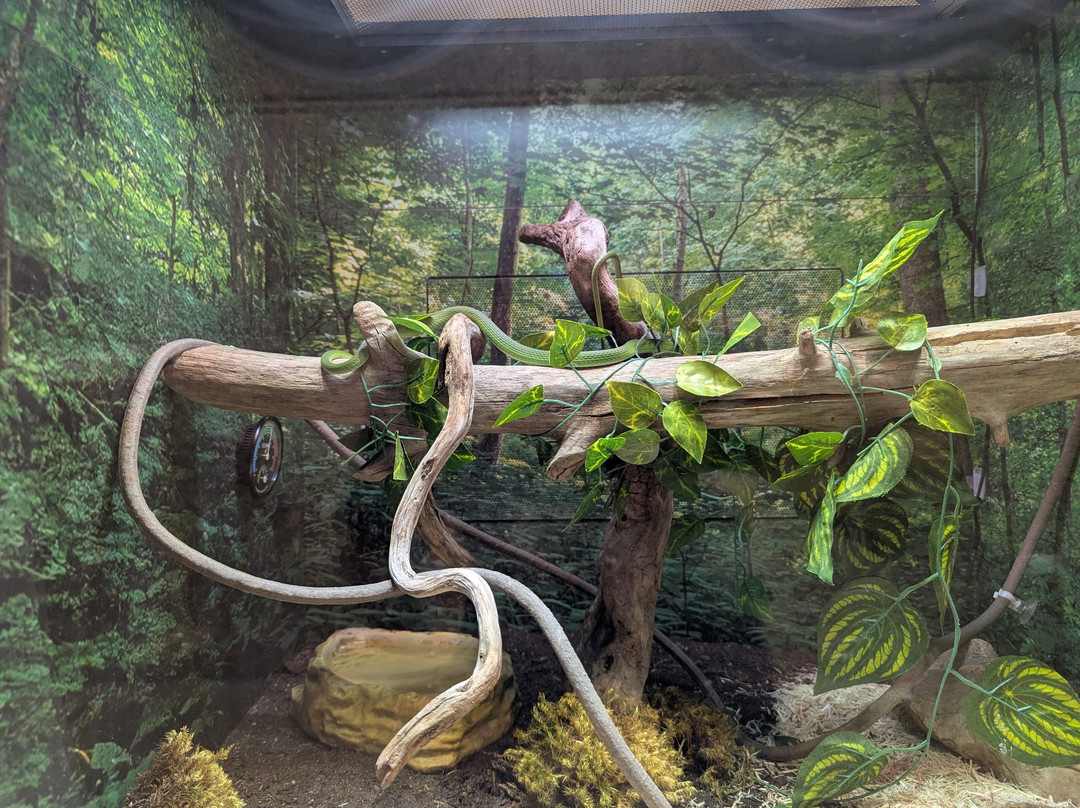 Shepherd of the Hills Fish Hatchery-布兰森必去景点