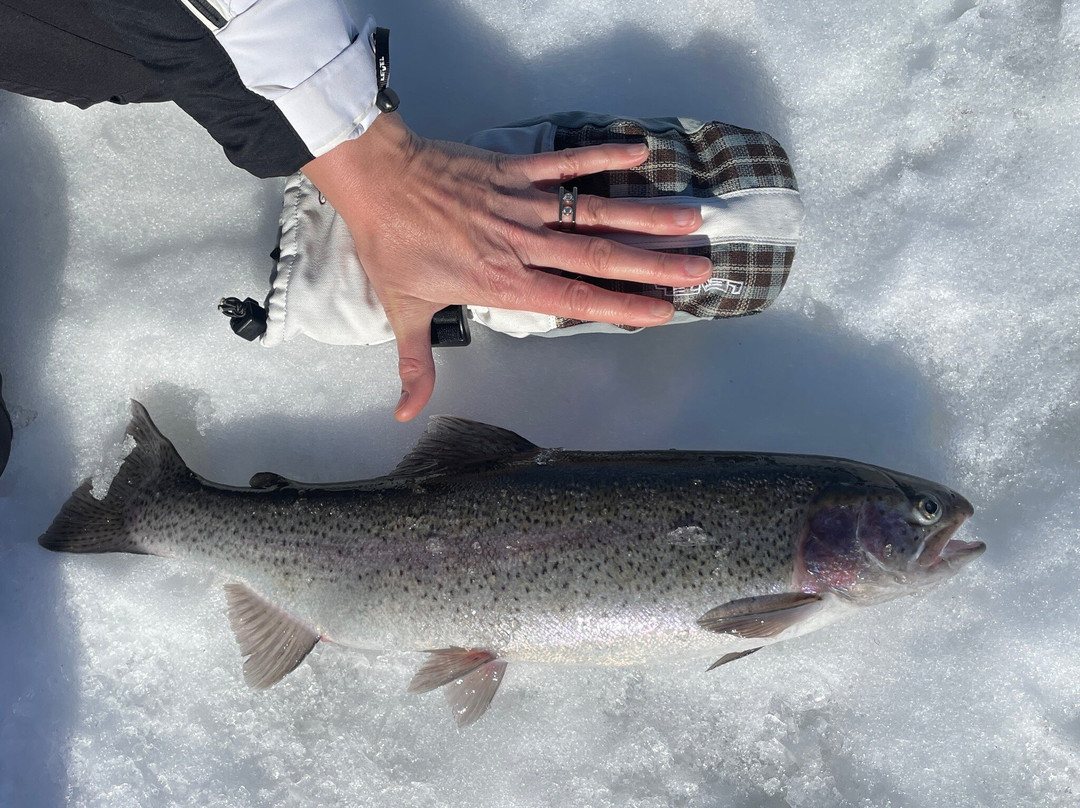 Wolverine Fell Wilderness and Nature-Kittilä必去景点