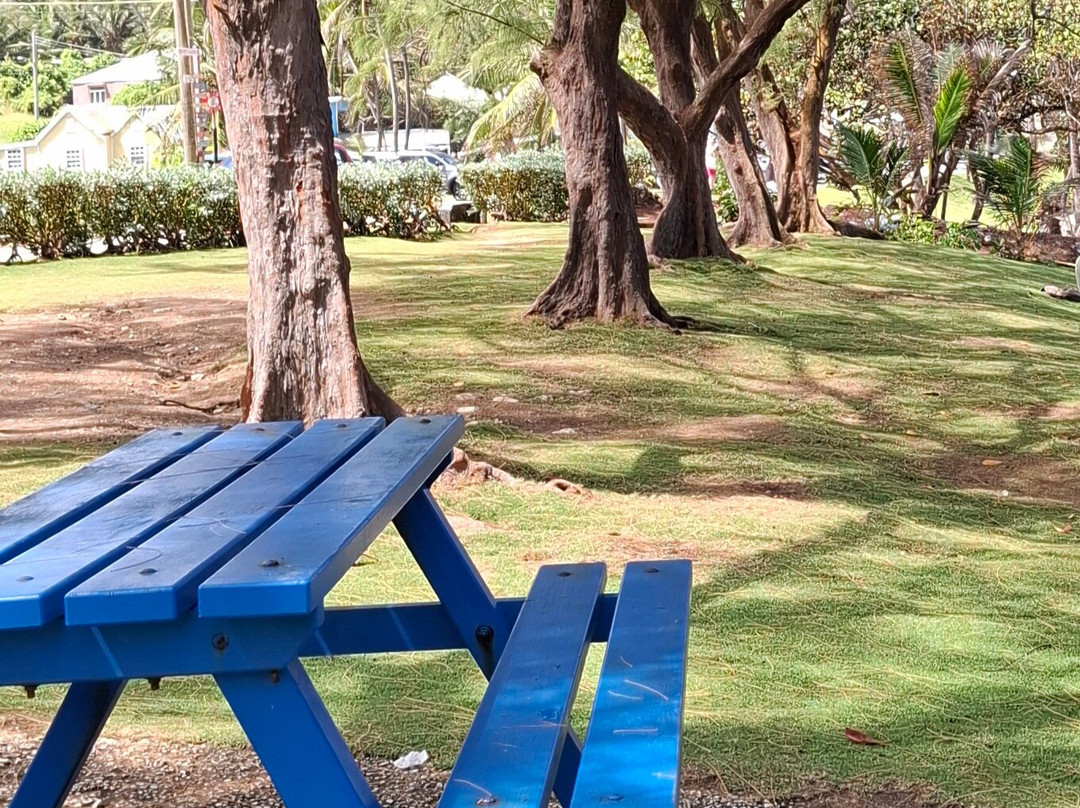 Bathsheba Park-Bathsheba必去景点