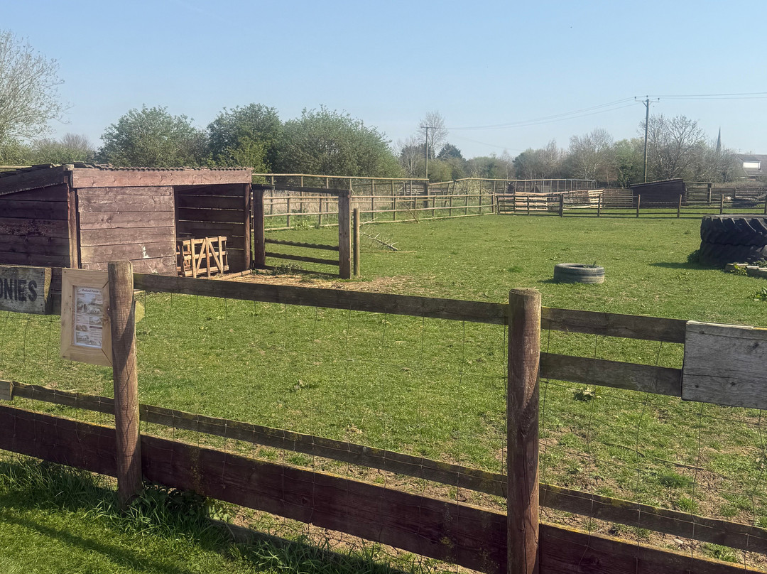 Little Jack's Farm and Garden Centre-Bottesford必去景点
