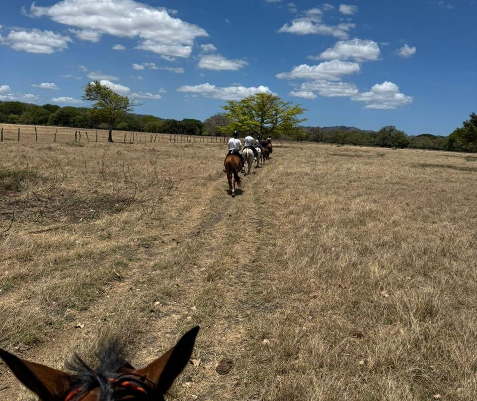 Finca La Esperanza-萨迪纳尔必去景点