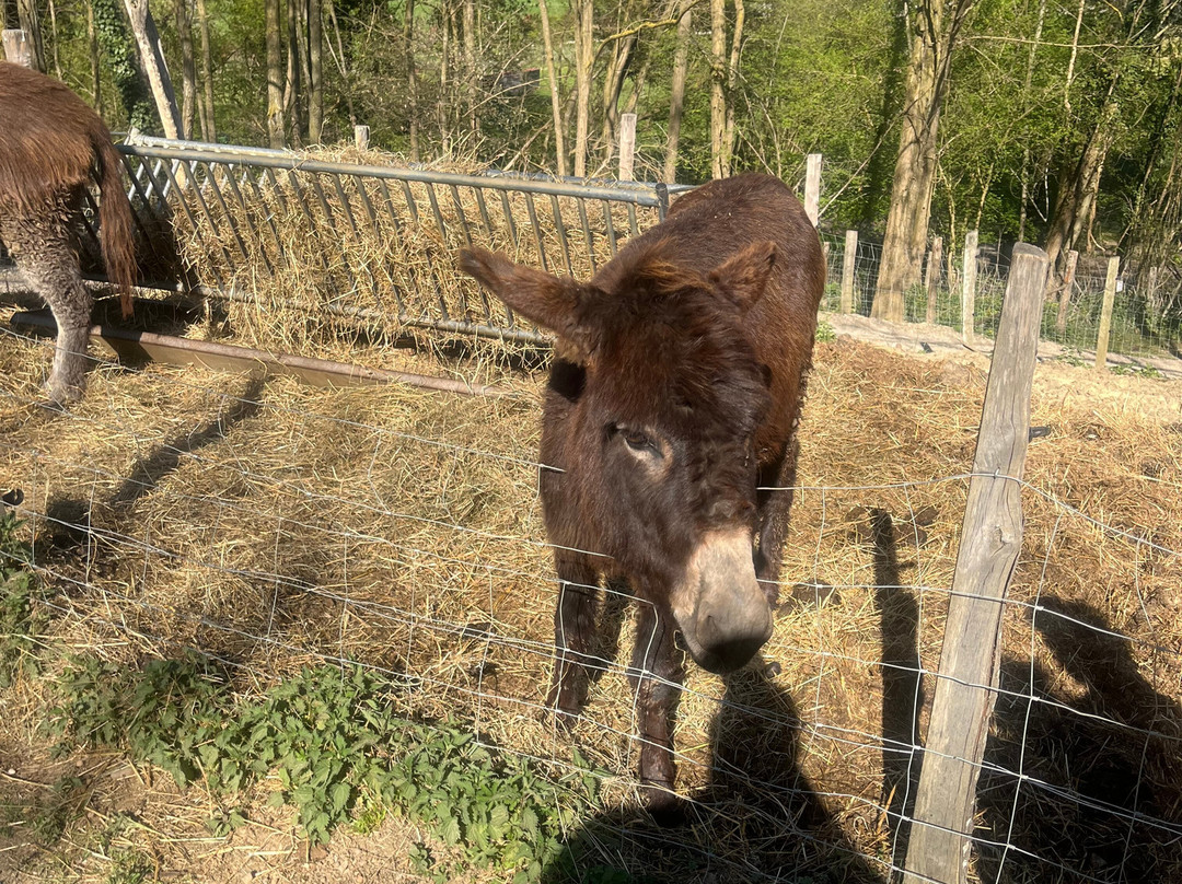 La Ferme Du Facteur Enchantée-Hauterives必去景点