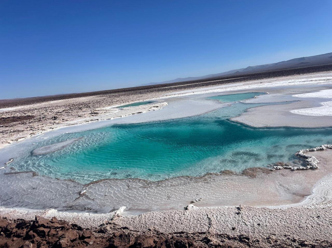 Lagunas Baltinache-圣佩德罗-德阿塔卡马必去景点