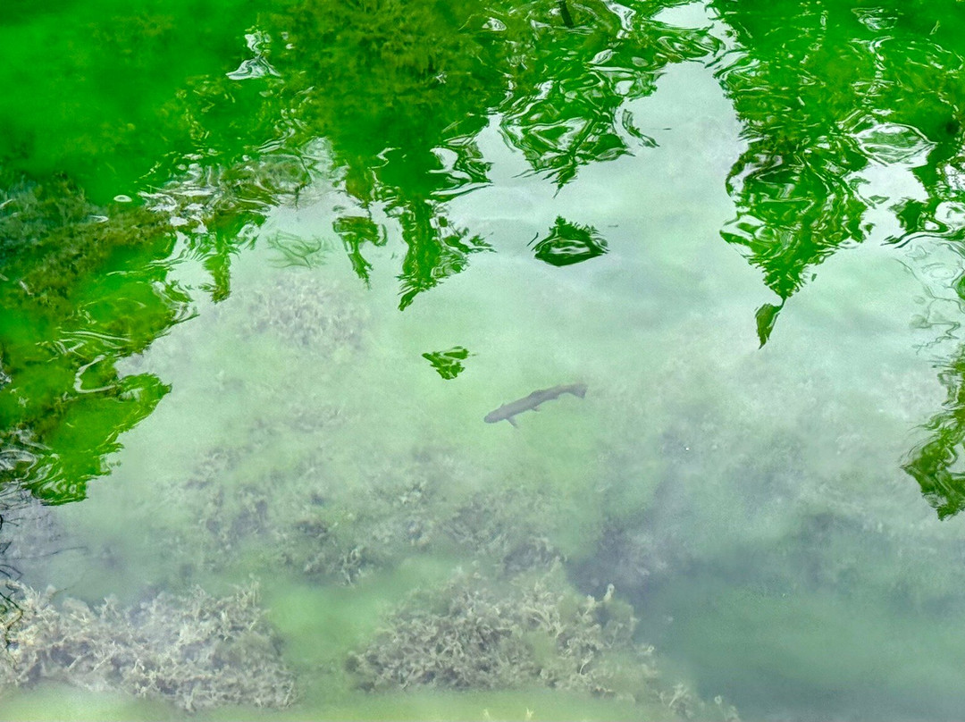 Hanging Lake Trail-格伦伍德温泉必去景点